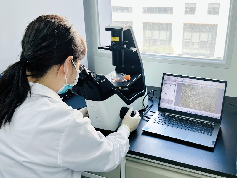 生物实验技术服务:从实验台到产业化的关键一环